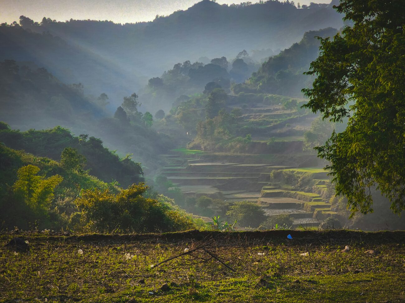 Araku Valley’s lush green hills and coffee plantations under a misty sky in Visakhapatnam