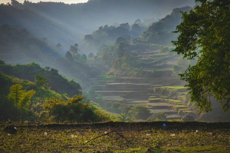 Araku Valley: Visakhapatnam’s Lush Haven of Nature and Tribal Culture