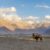 Nubra Valley: Ladakh’s Desert Oasis in the Himalayas