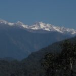 Namdapha National Park’s dense rainforest