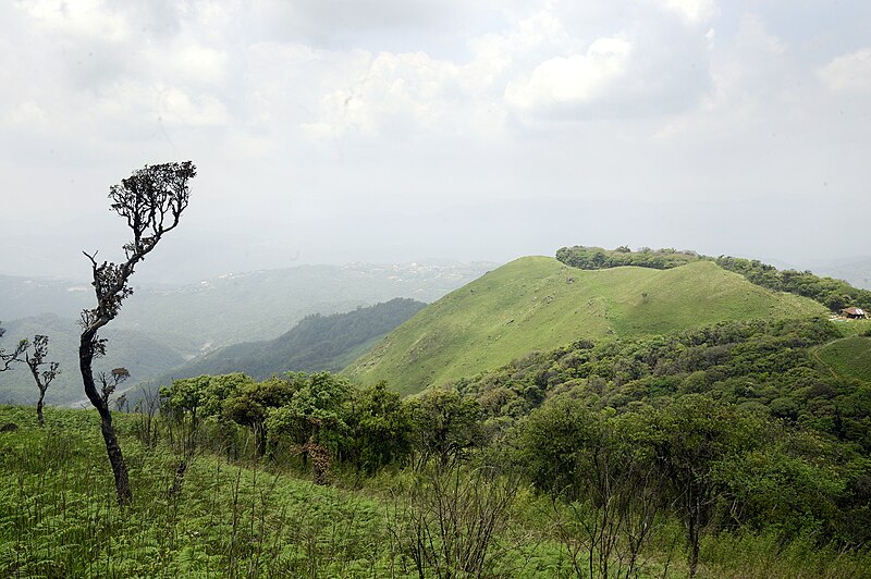 Shirui Kashong Peak: Ukhrul’s 2,835 m Home of the Sacred Shirui Lily