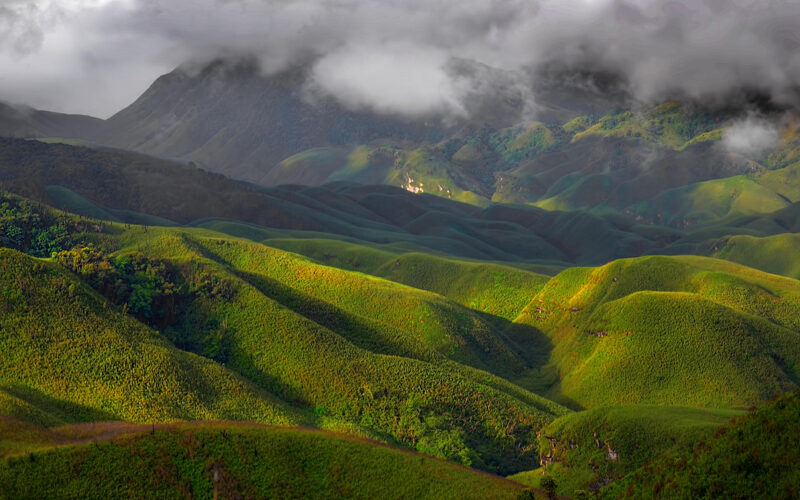 Dzukou Valley: Nagaland’s Emerald Carpet of Lilies & Rhododendrons