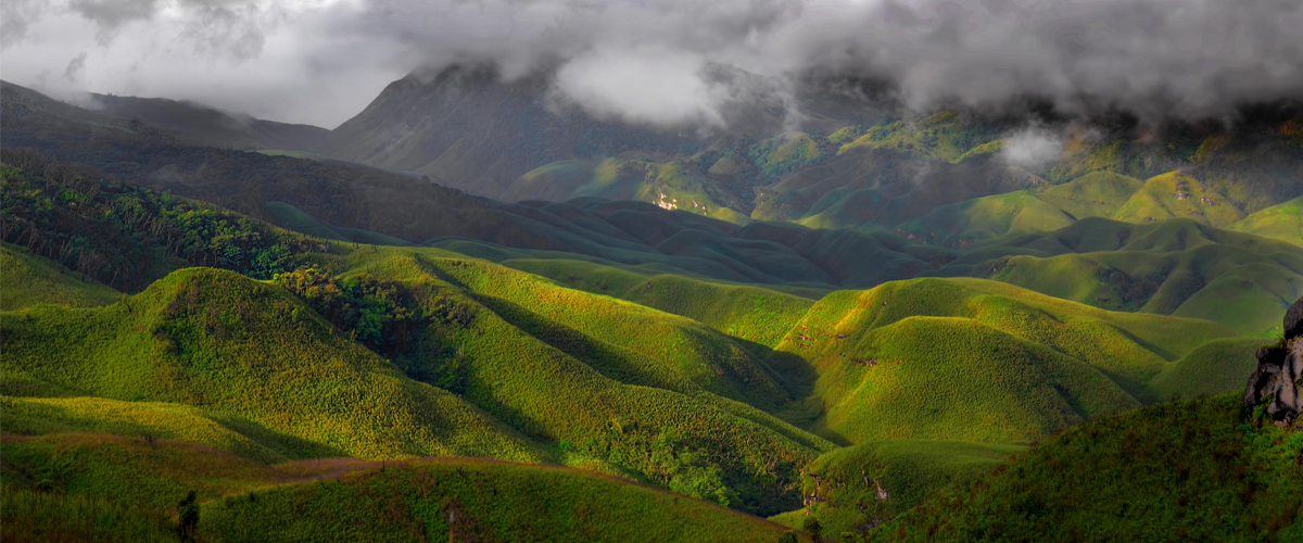 Dzukou Valley: