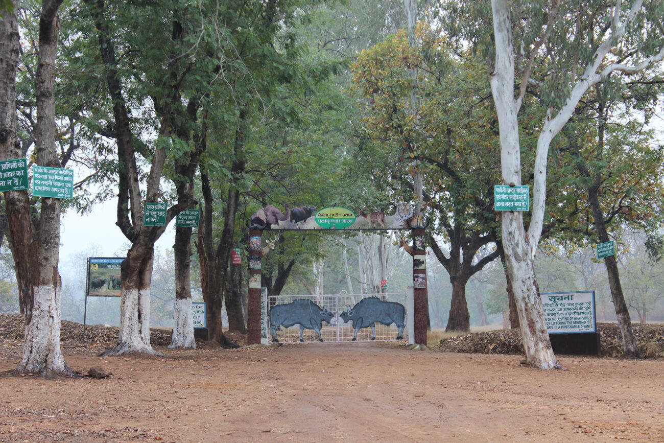 Betla National Park, Jharkhand Tourism, Tiger Safari