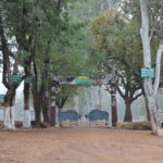 Betla National Park, Jharkhand Tourism, Tiger Safari