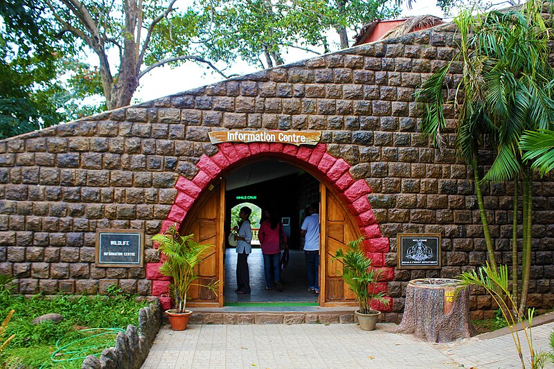 Periyar National Park, Thekkady: Kerala’s Wild Heart of Tigers and Tranquility