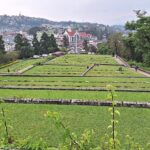 Kohima - War Cemetery