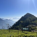 Munnar Tea Plantations Hill Station