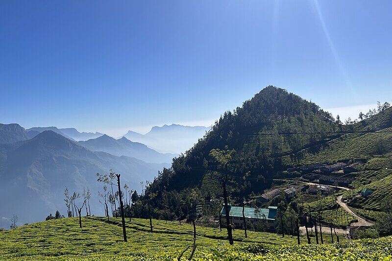 Munnar: Kerala’s Misty Hill Station of Tea and Tranquility