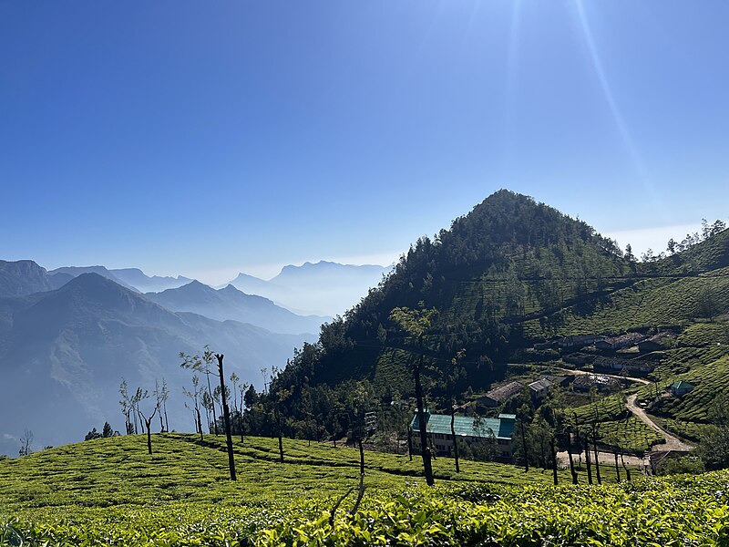 Munnar Tea Plantations Hill Station