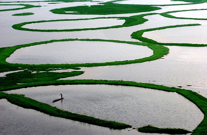Loktak Lake: Manipur’s Floating Phumdis & Keibul Lamjao Sanctuary