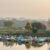 Sukhna Lake: Chandigarh’s Serene Urban Oasis